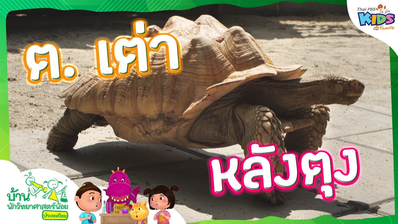 ต. เต่า หลังตุง | บ้านนักวิทยาศาสตร์น้อย