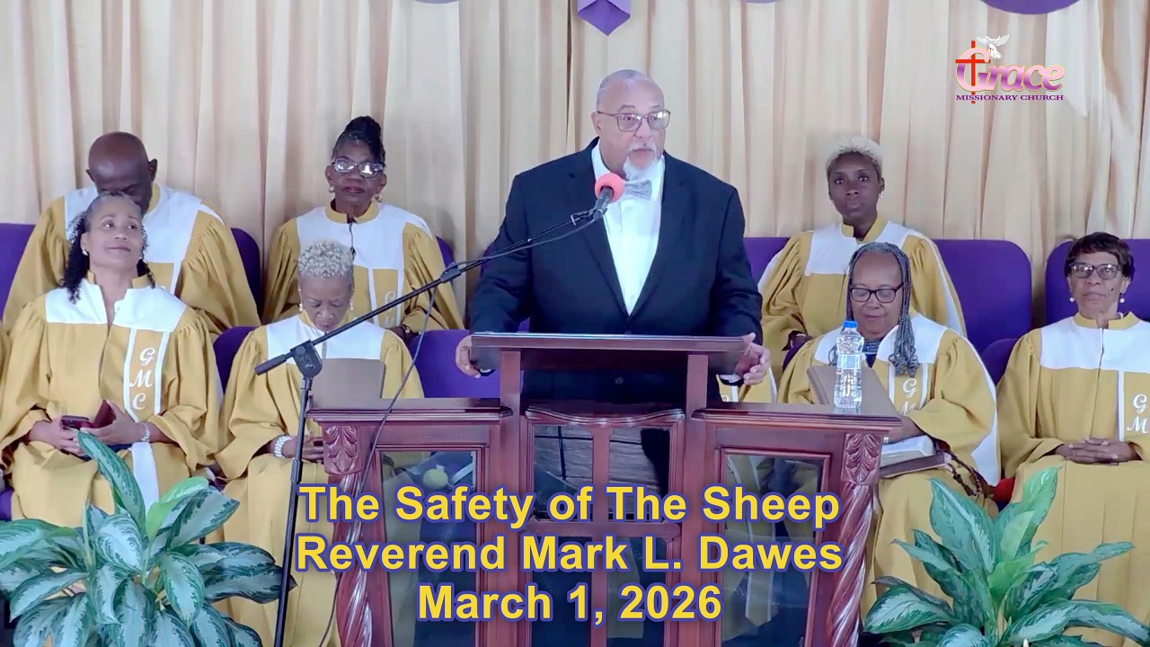 The Safety of The Sheep