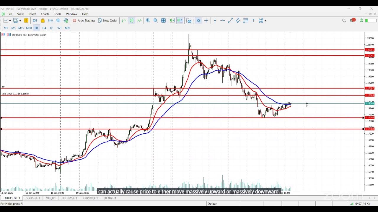 Rally Trade - Morning Market Review