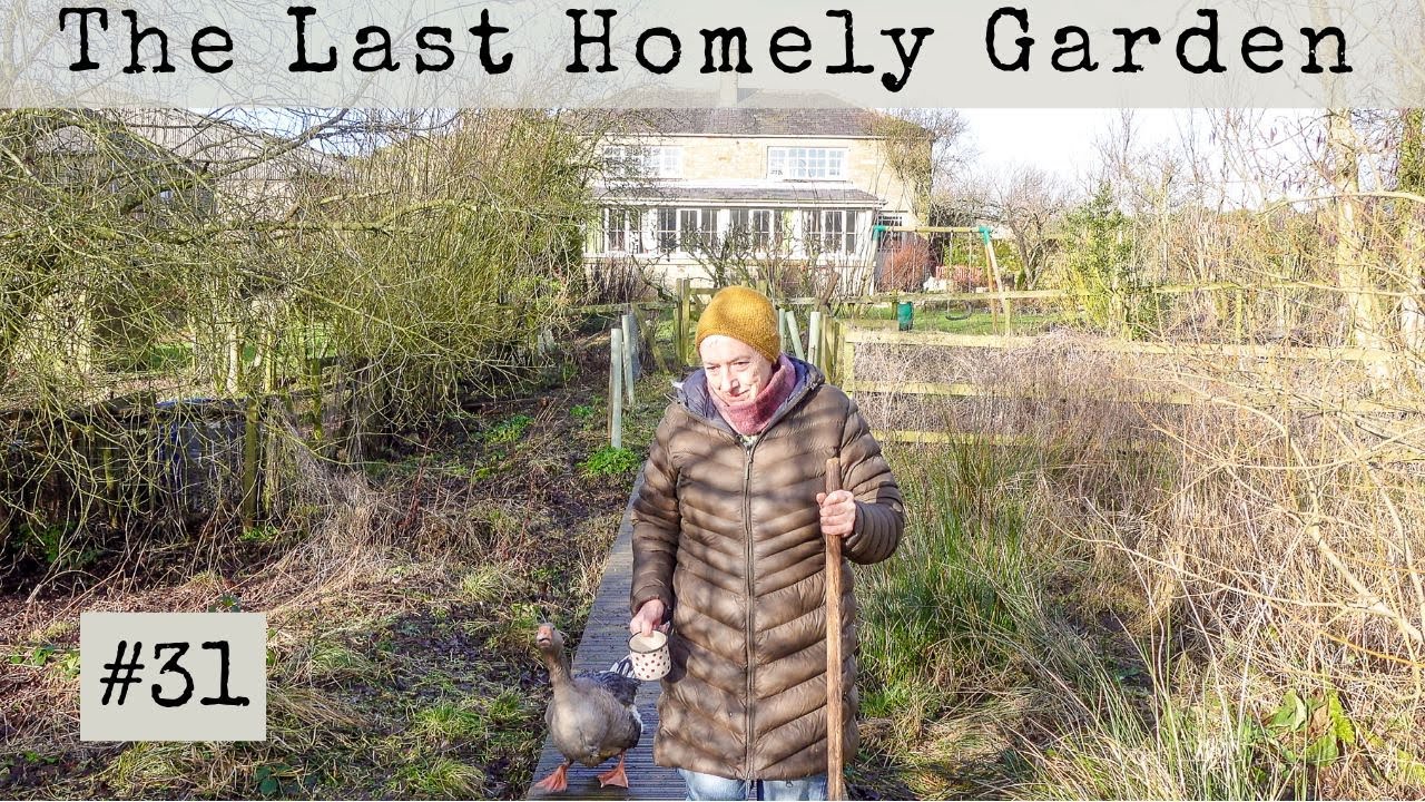 Come with me and Eileen for a quiet Winter Walk round The Last Homely Garden #31