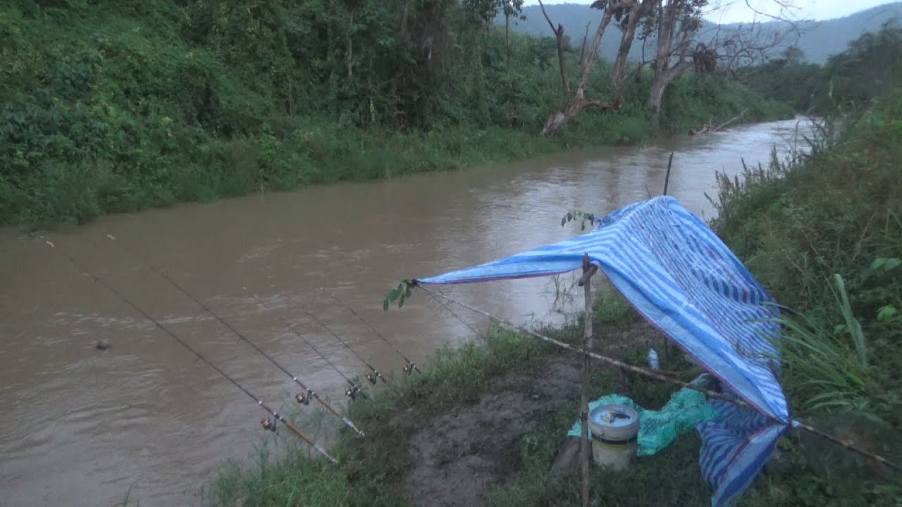 นั่งอยู่กับที่ให้ปลากดมาหา ต้องอ่านน้ำเป็นรู้เวลาปลาขยับ ตกปลากด [ งัดวัง Fishing For Catfish ]