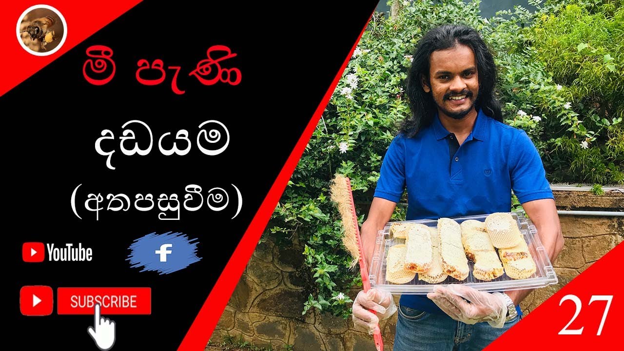 මී පැණි දඩයම (අතපසුවීම)