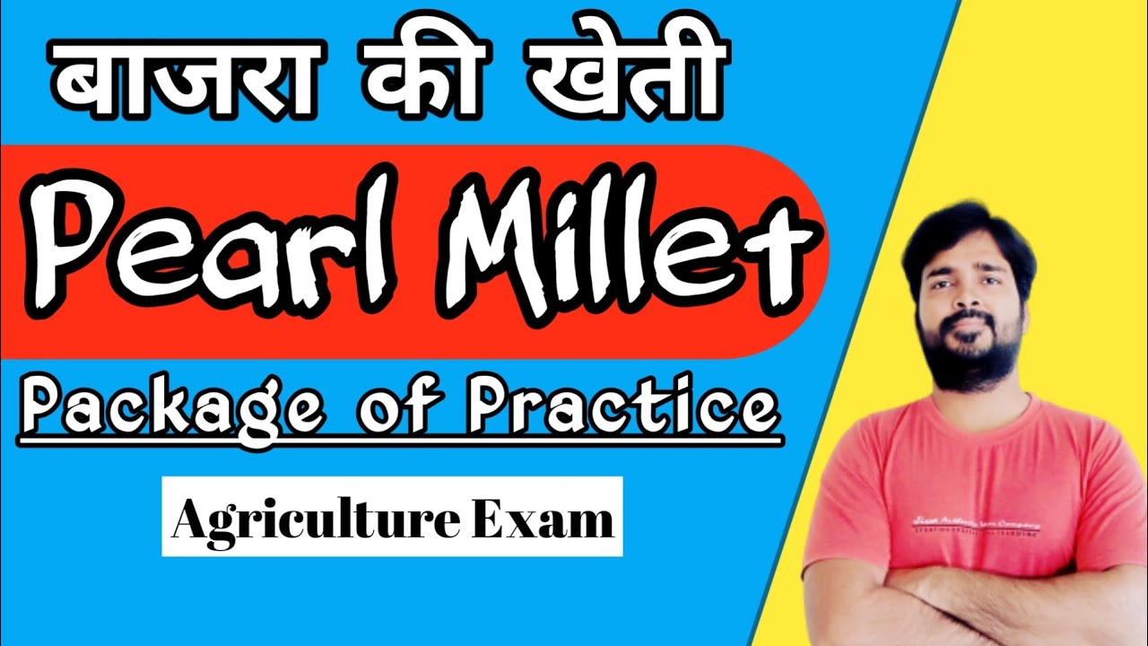 Cultivation of Bajra | Pearl millet Cultivation | Important question on Agronomy | Agronomy lecture
