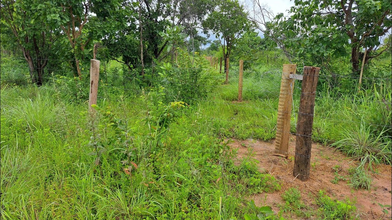 Chácara Vila Boa-Go(terreno)Dois hectares. Melhor preço / R$ 50.000,00. Atualização.