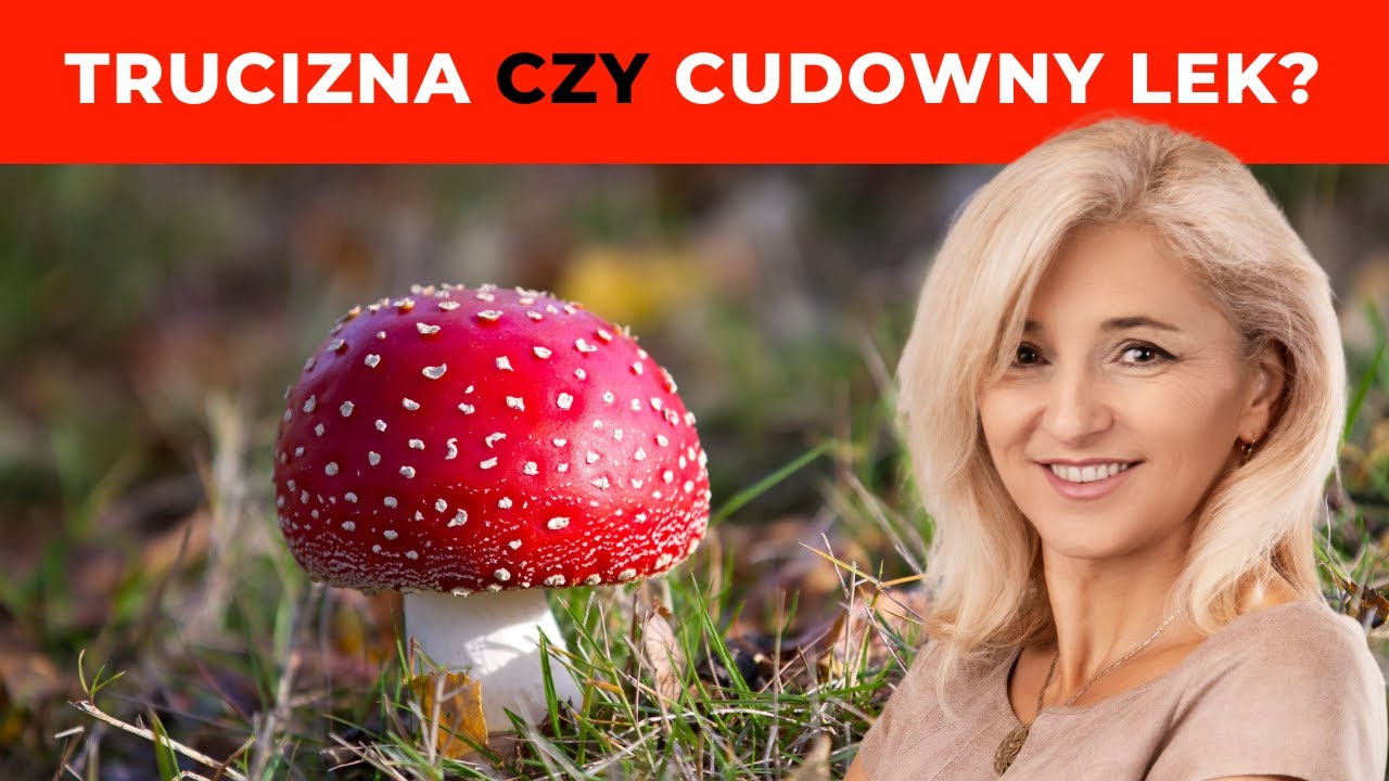 Czy Muchomor Czerwony to najniebezpieczniejszy grzyb na świecie? Prawda Cię Zaskoczy!