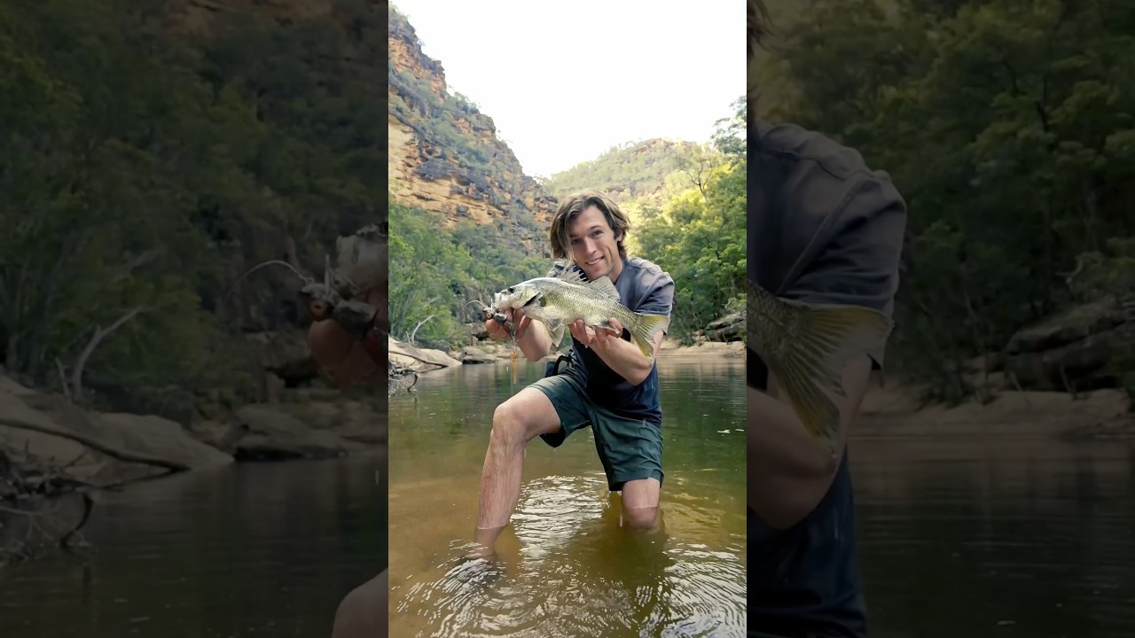 Bass fishing a remote river gorge #campingaustralia #bassfishing #lurefishing #wilderness