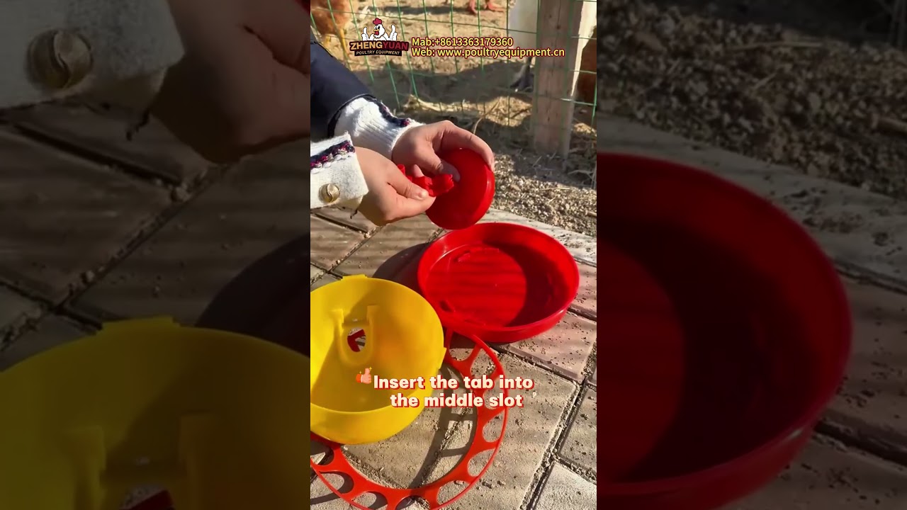 How to Install a Chick Plasson Drinker #chicken #poultry #farming