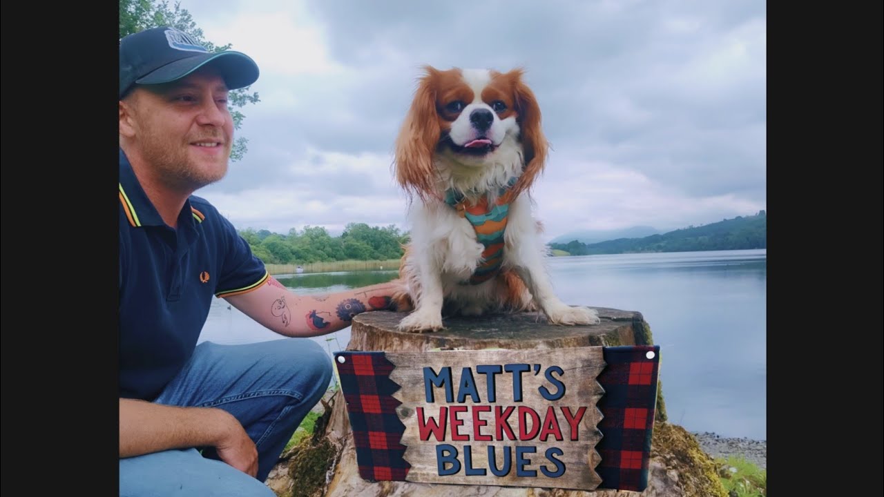 MatthewJago is live playing unplugged acoustic songs with my friends 🎉 🐕 🎵 🏡 😎🐕🎵🛋