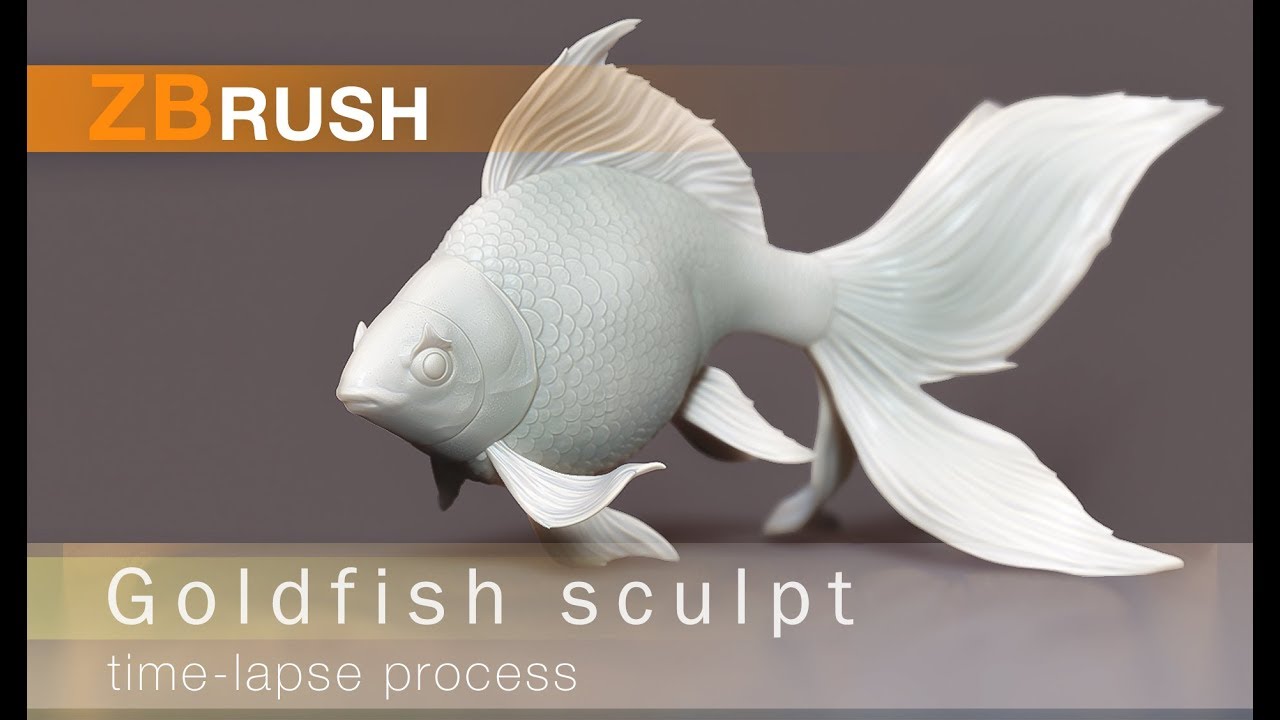 ZBrush process Goldfish