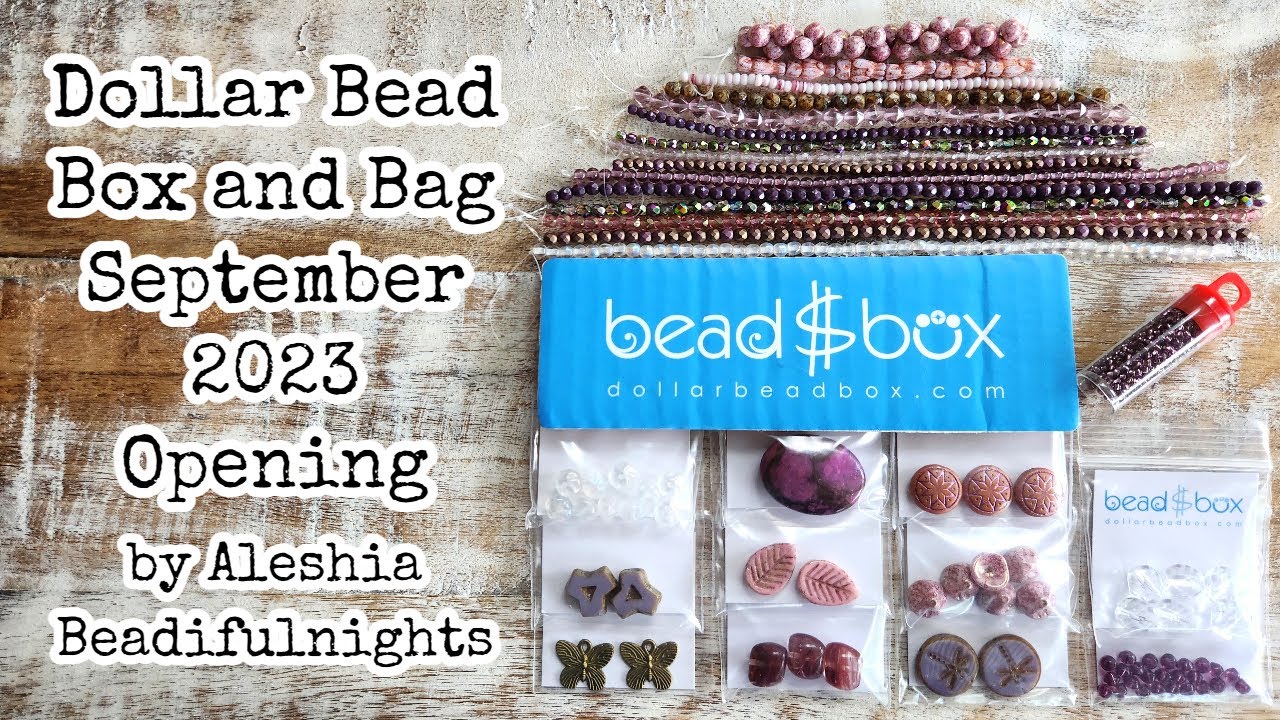 Dollar Bead Box and Bag September 2023 Opening