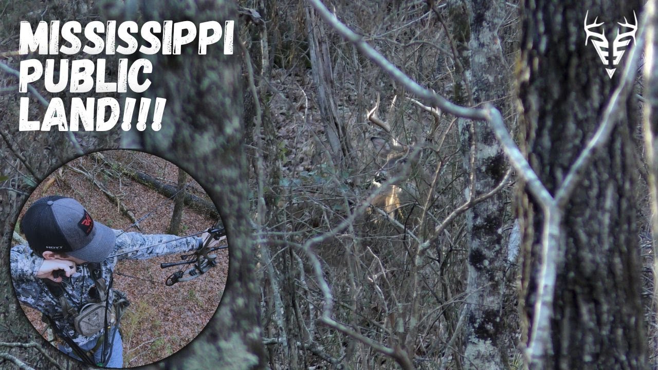 MISSISSIPPI public land GIANT!| One of the BEST public land hunts of my life!