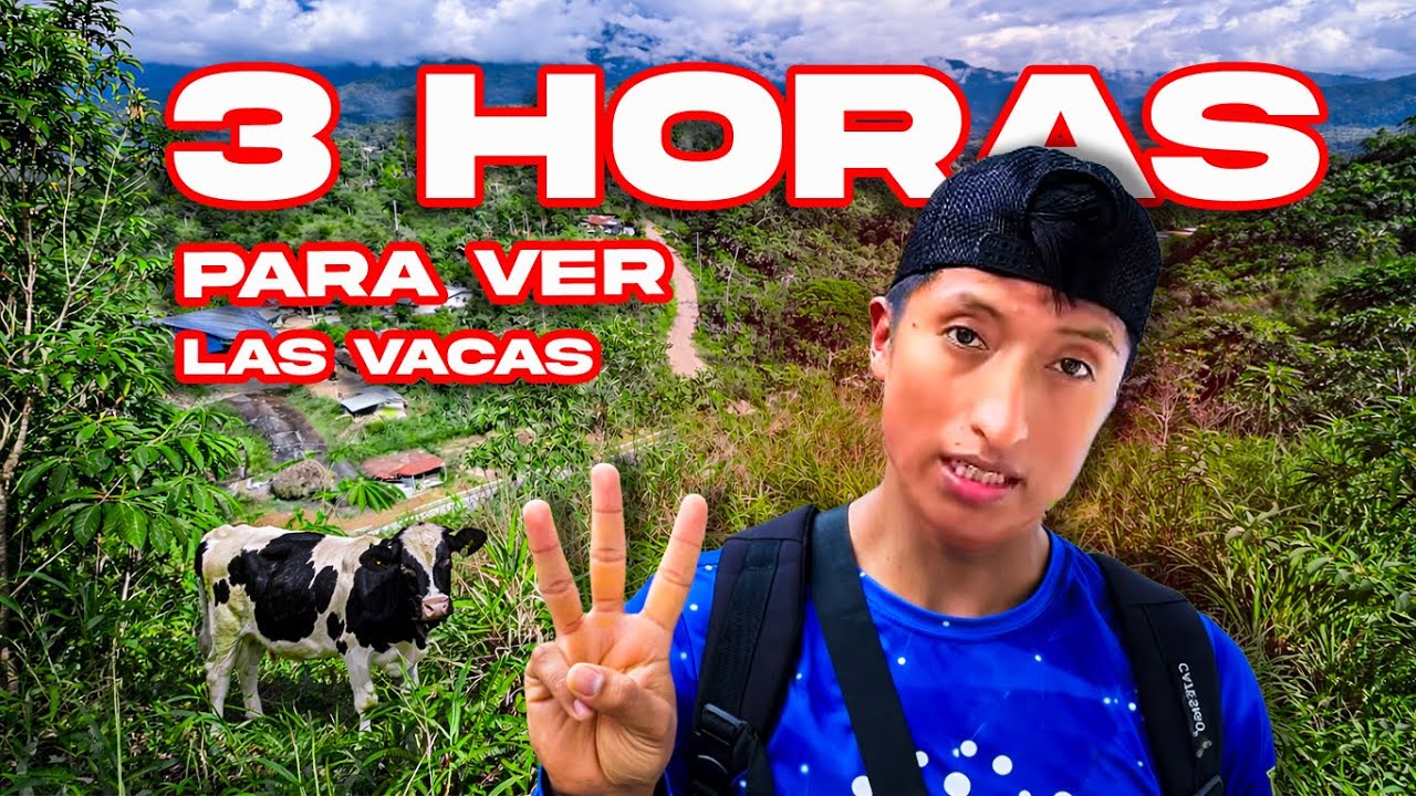 Después de 3 horas finalmente llegué a ver a mis animales