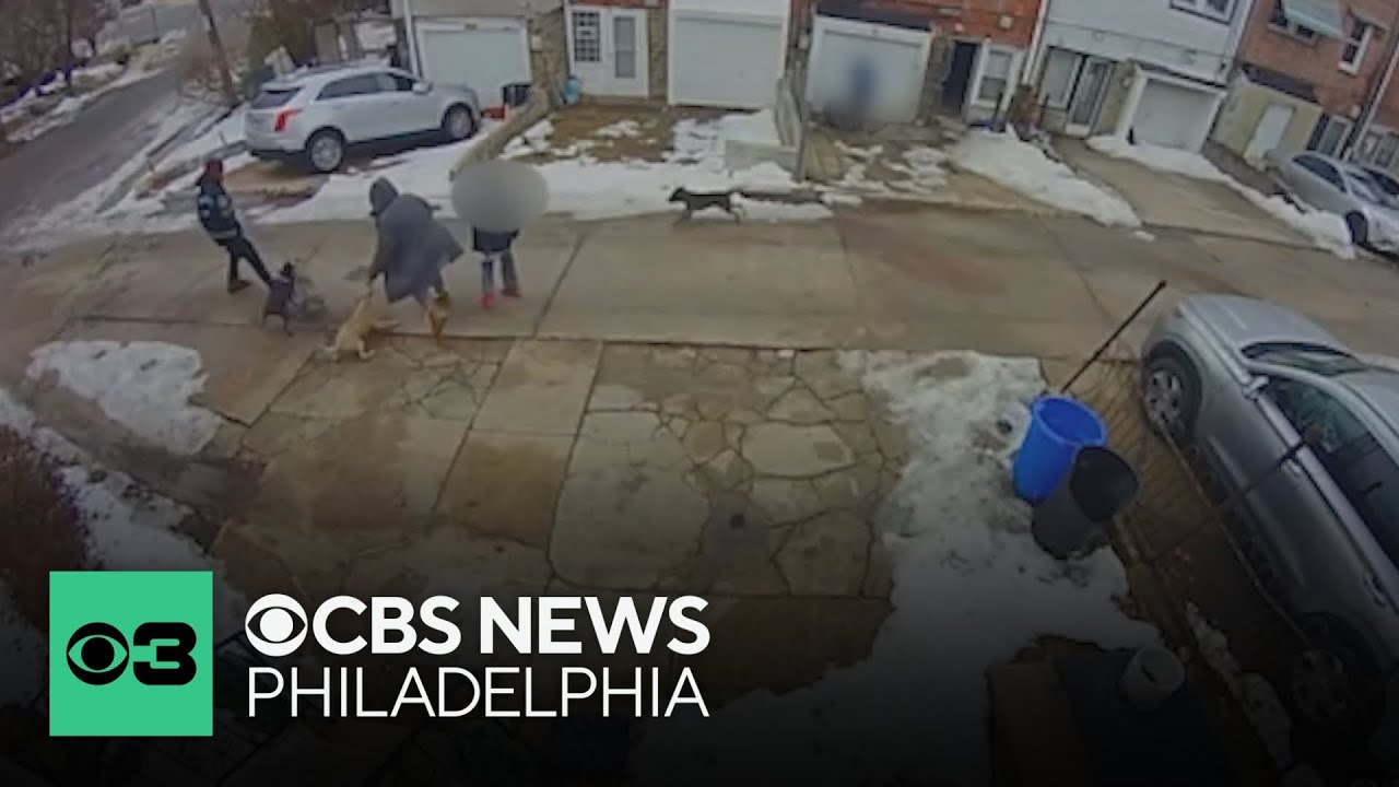 Philadelphia women fights to file charges after being attacked by 3 dogs in Olney