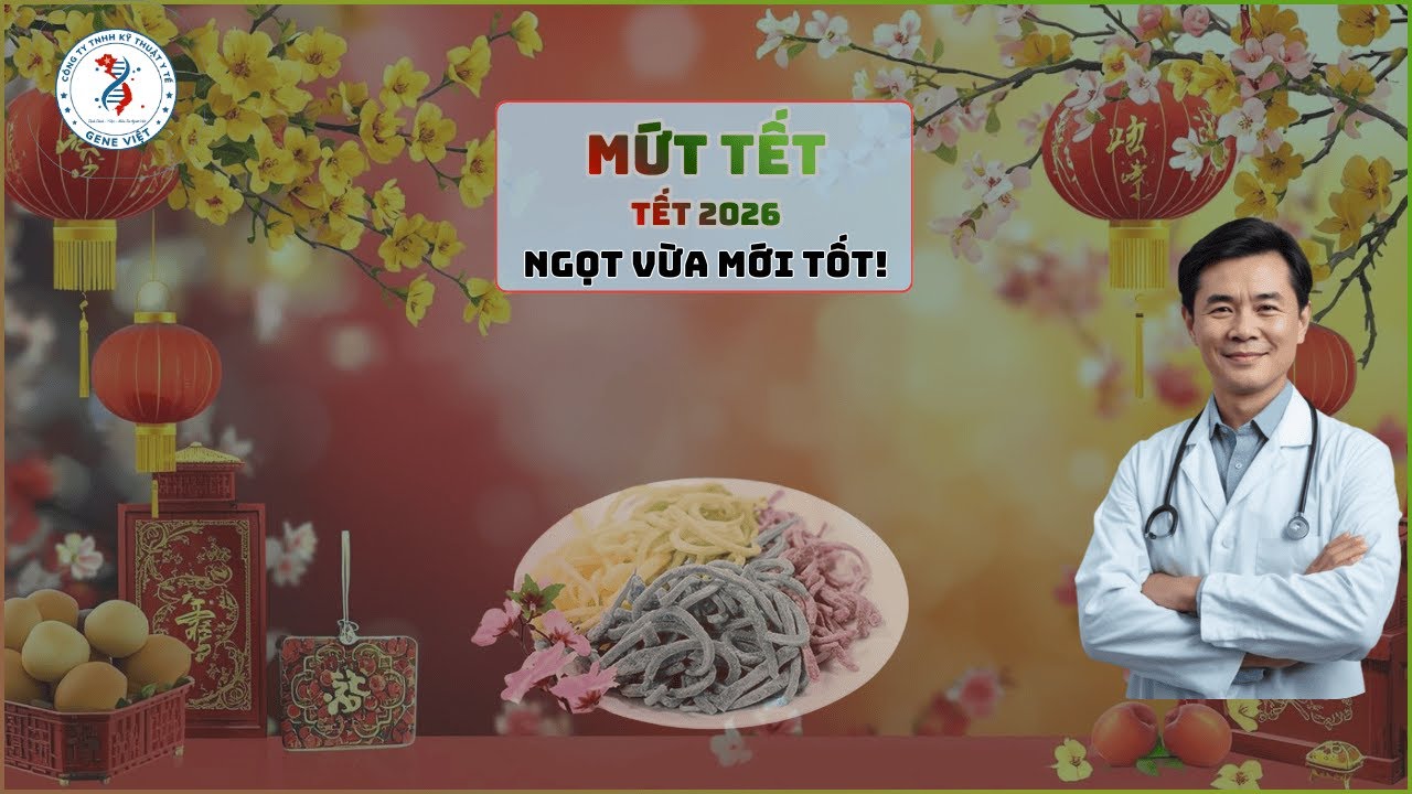 Mứt Tết 2026 | Mứt Truyền Thống & Mứt Công Nghiệp: Nên Chọn Loại Nào?