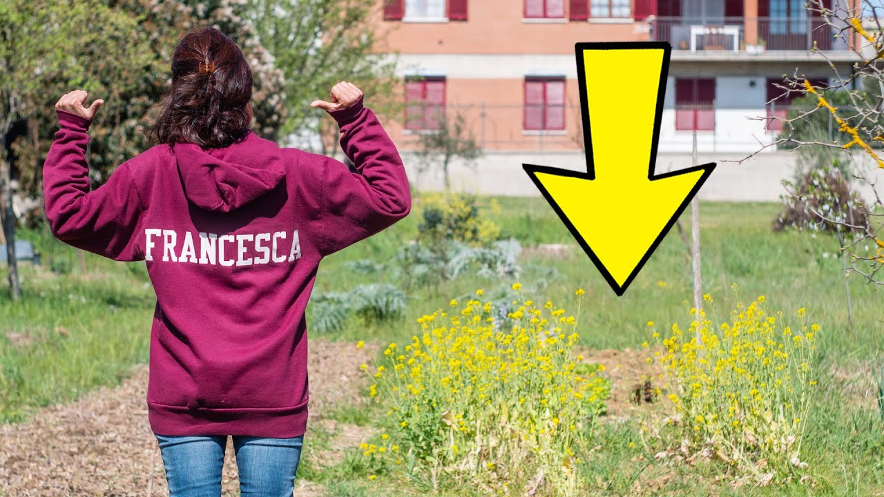 ORTO AD APRILE: RACCOLGO ASPARAGI, SEMINO E NON TAGLIO L'ERBA 🌱