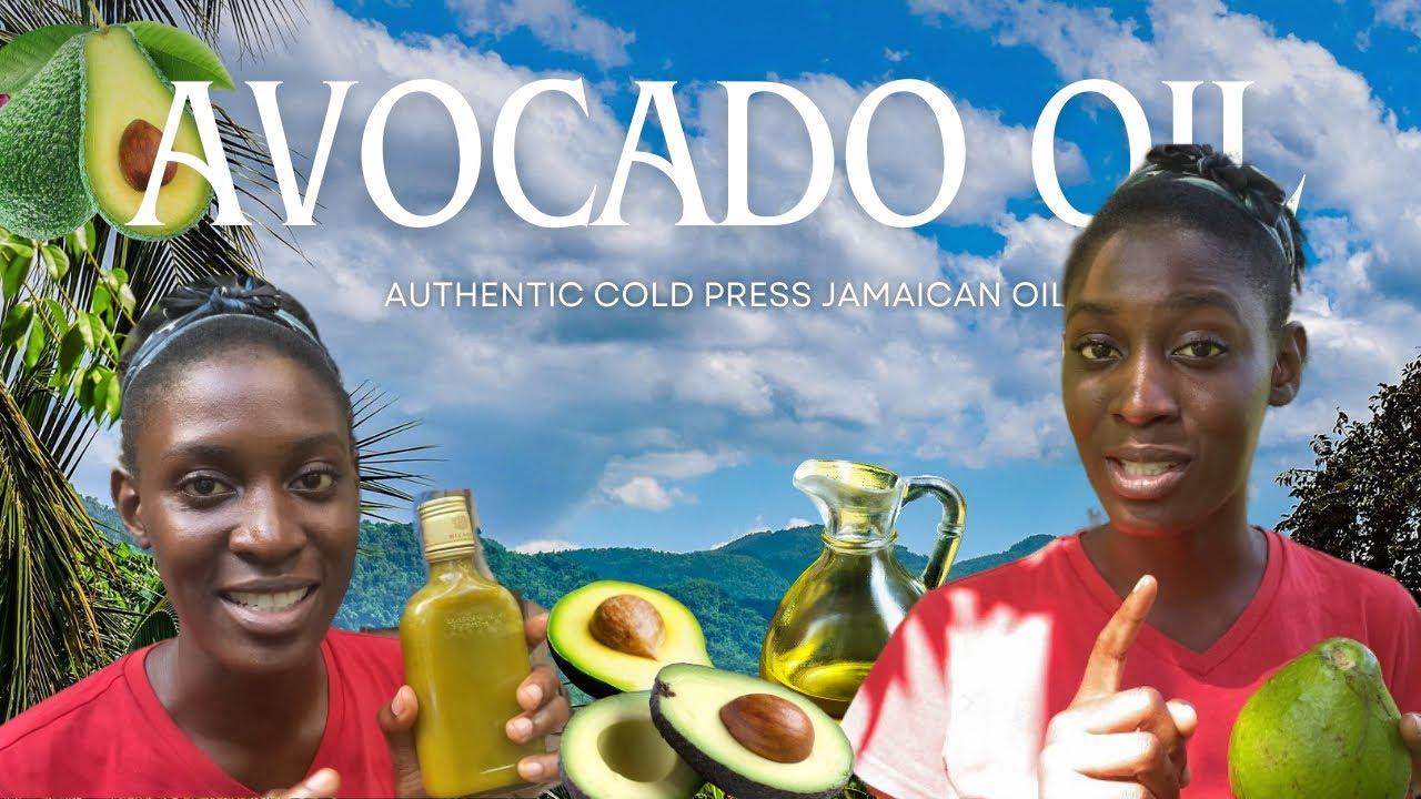 How To Make Avocado Oil At Home | Homemade Avocado Oil From Scratch - Jamaican Style 🇯🇲
