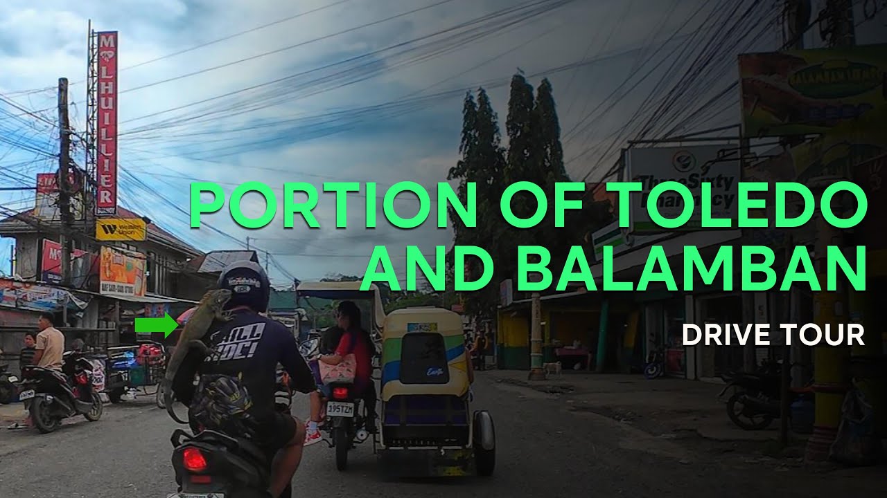 An Iguana was in Toledo to Balamban Road | 4K