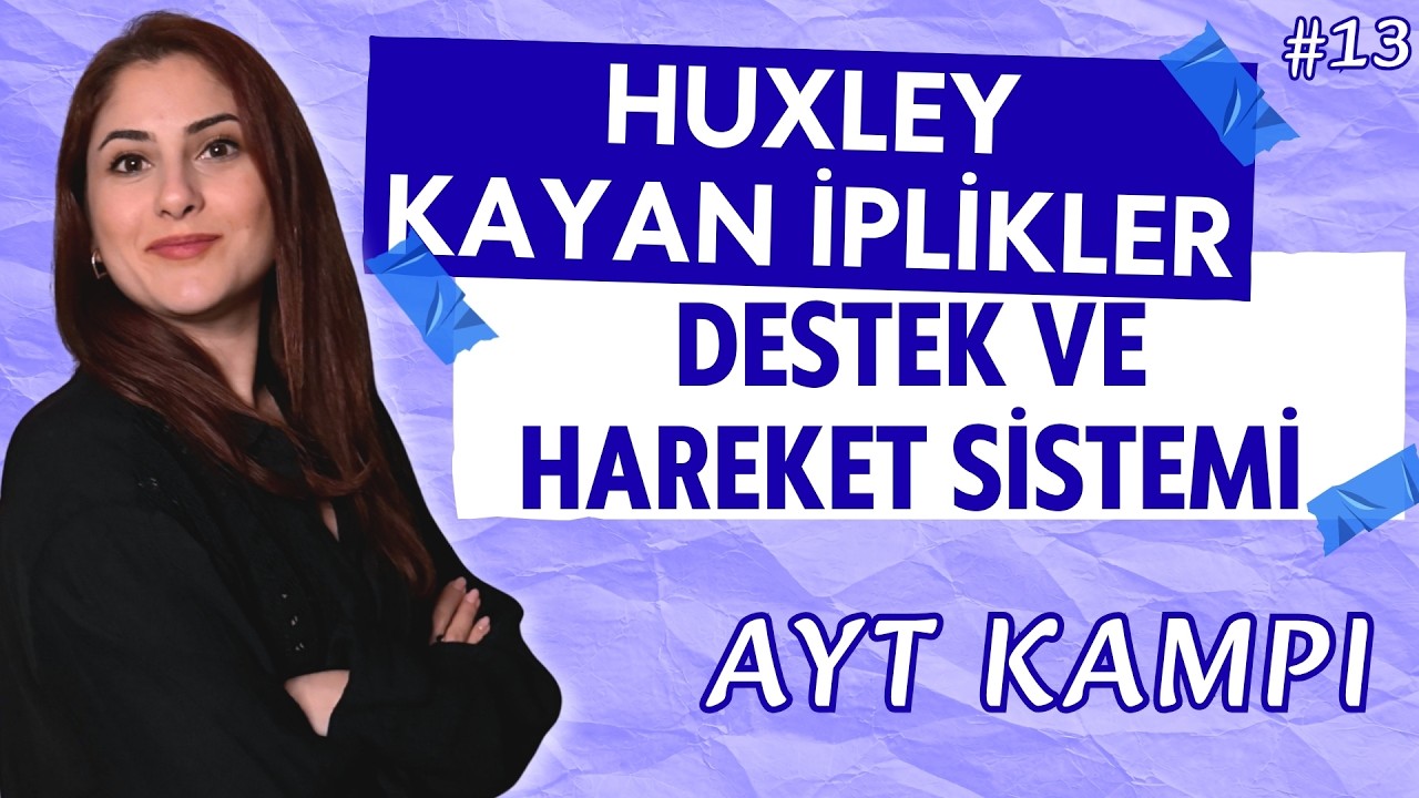 13) AYT 2026 BİYOLOJİ | KASLARIN ÇALIŞMASI HUXLEY | DESTEK VE HAREKET SİSTEMİ 3 | ADIM ADIM ZİRVEYE