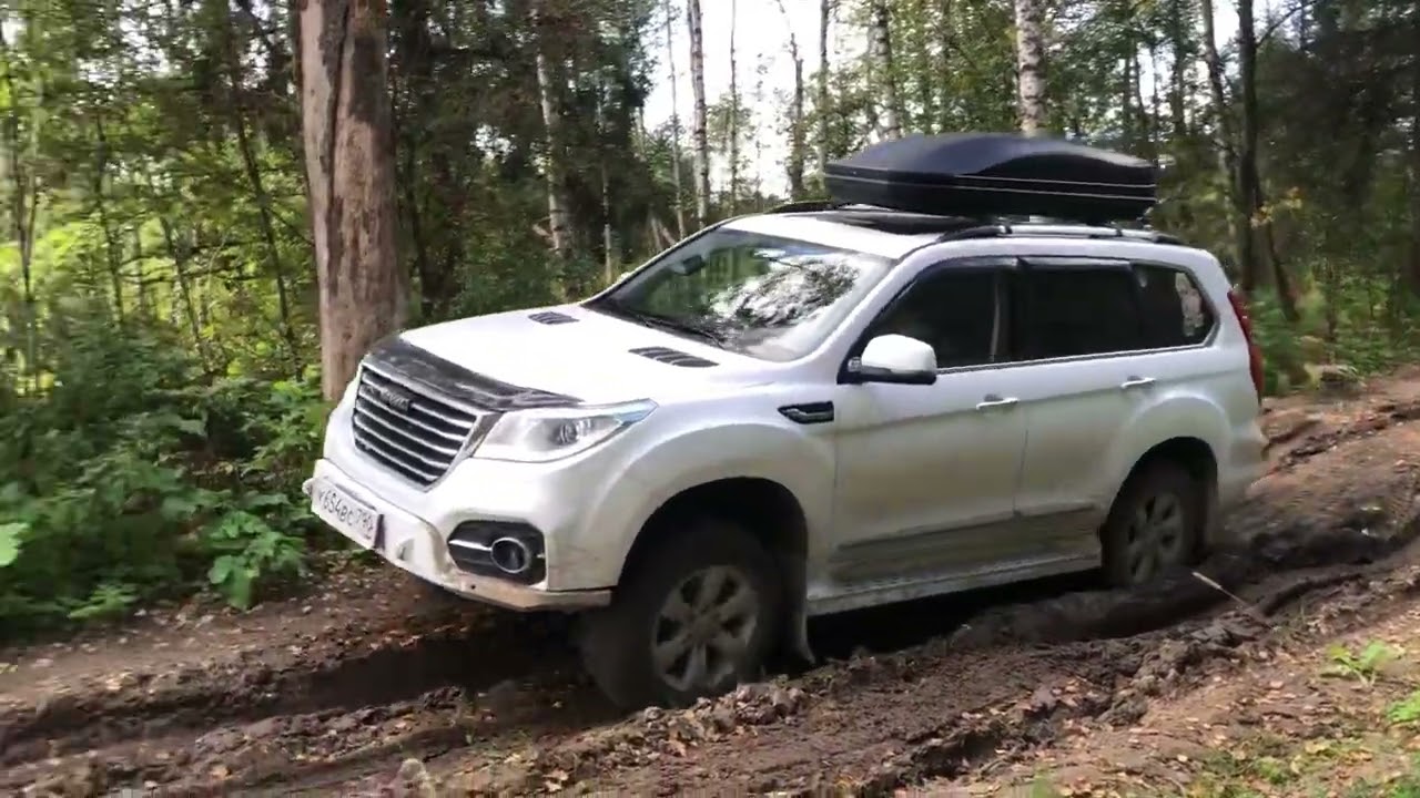 Бородино-Верея легкий внедорожный рейд с клубом 4х4 06.09.25