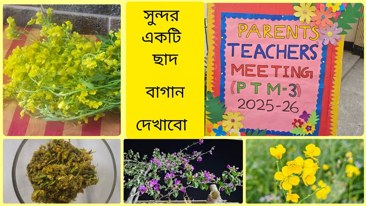 📚🌾 স্কুল রেজাল্ট থেকে রোজার ঘর গোছানো &mdash; এক দিনের ডায়েরি সাথে সুন্দর একটি ছাদ বাগান দেখাবো আজ
