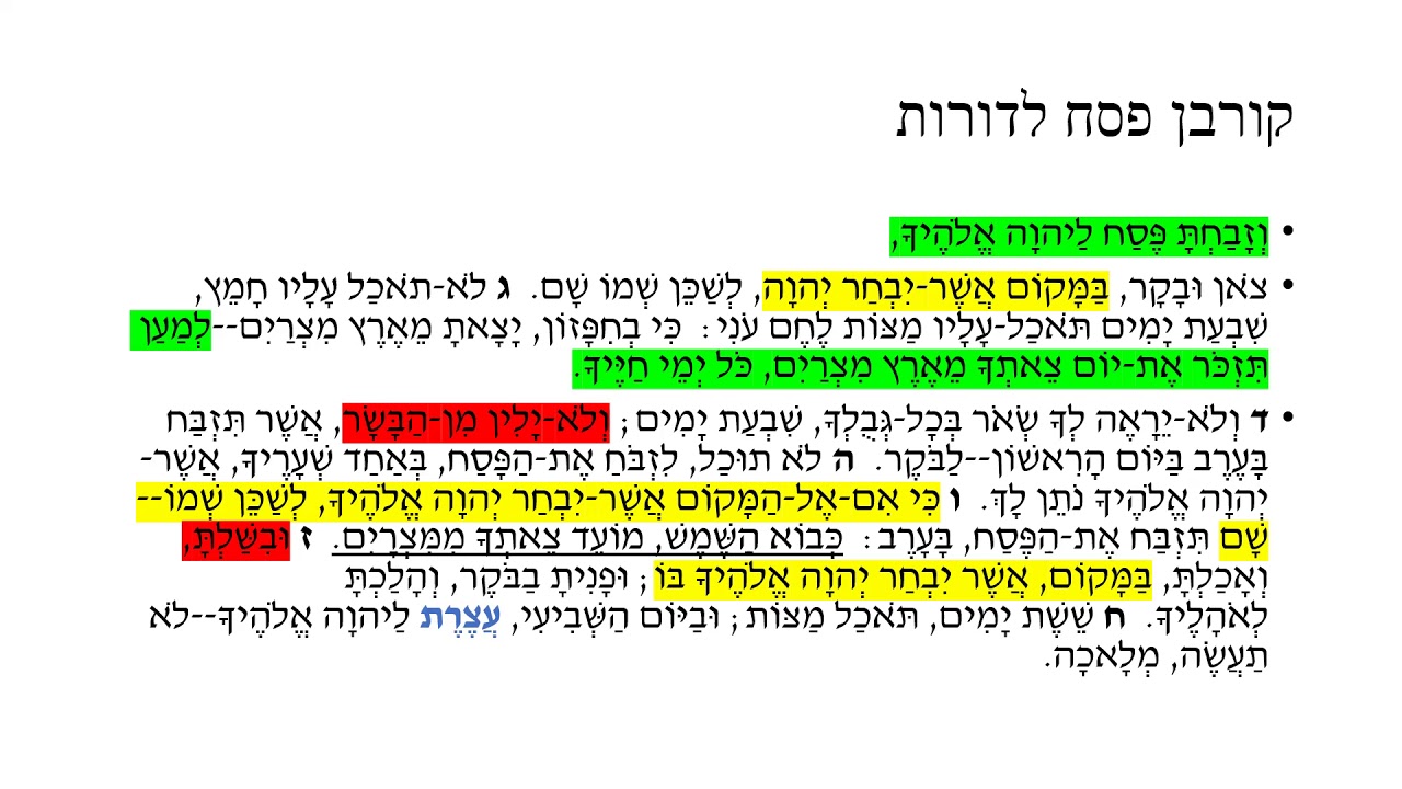 שולמית ביטון דברים טז' חגים