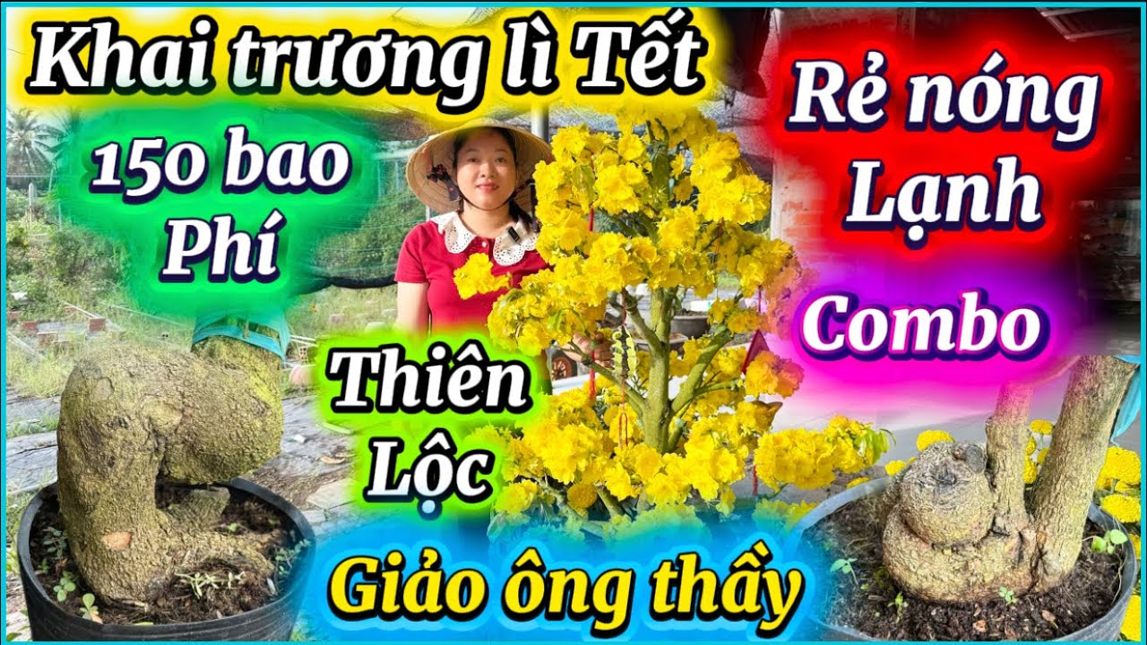 20-2-2026/MÙNG 4 TẾT ☎️0385 864 865📲CHỊ HỒNG KHAI TRƯƠNG rẻ lì xì Tết cam thiên Lộc-giảo ông thầy 