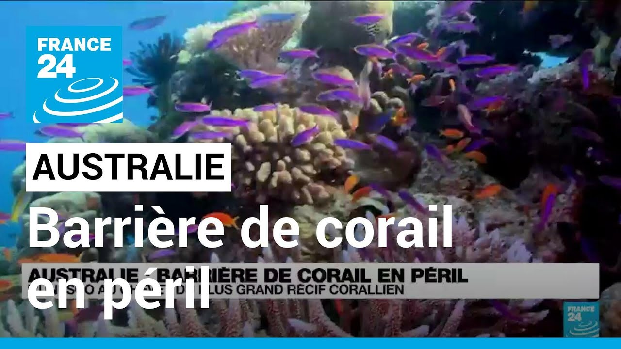 Australie : barri&egrave;re de corail en p&eacute;ril, l'Unesco au chevet du plus grand r&eacute;cif corallien