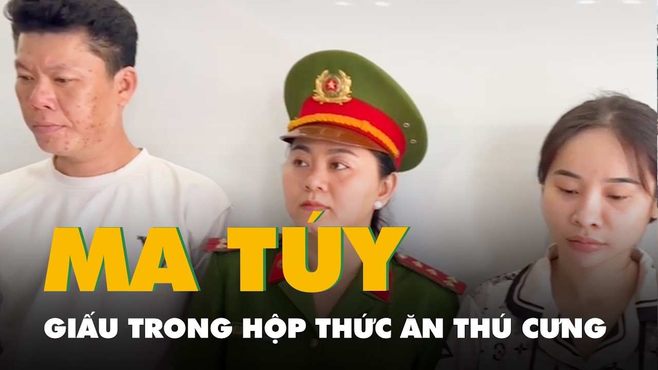 Giấu ma túy trong hộp thức ăn thú cưng, 8 người bị khởi tố