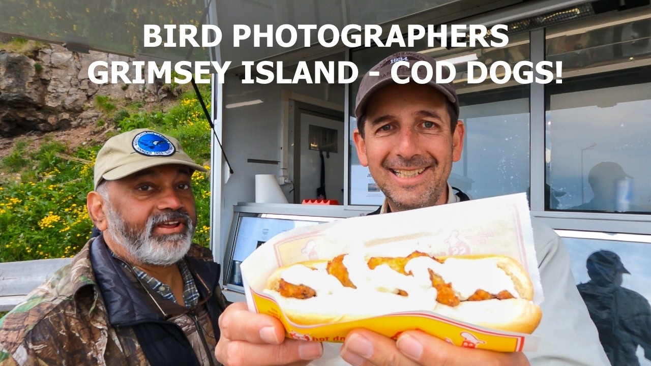 Grimsey Island, Iceland - Cod Dogs!  You want to have lunch here!