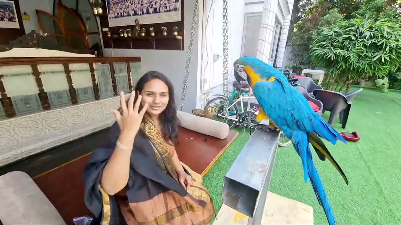 Me and my parrot chatting about the world