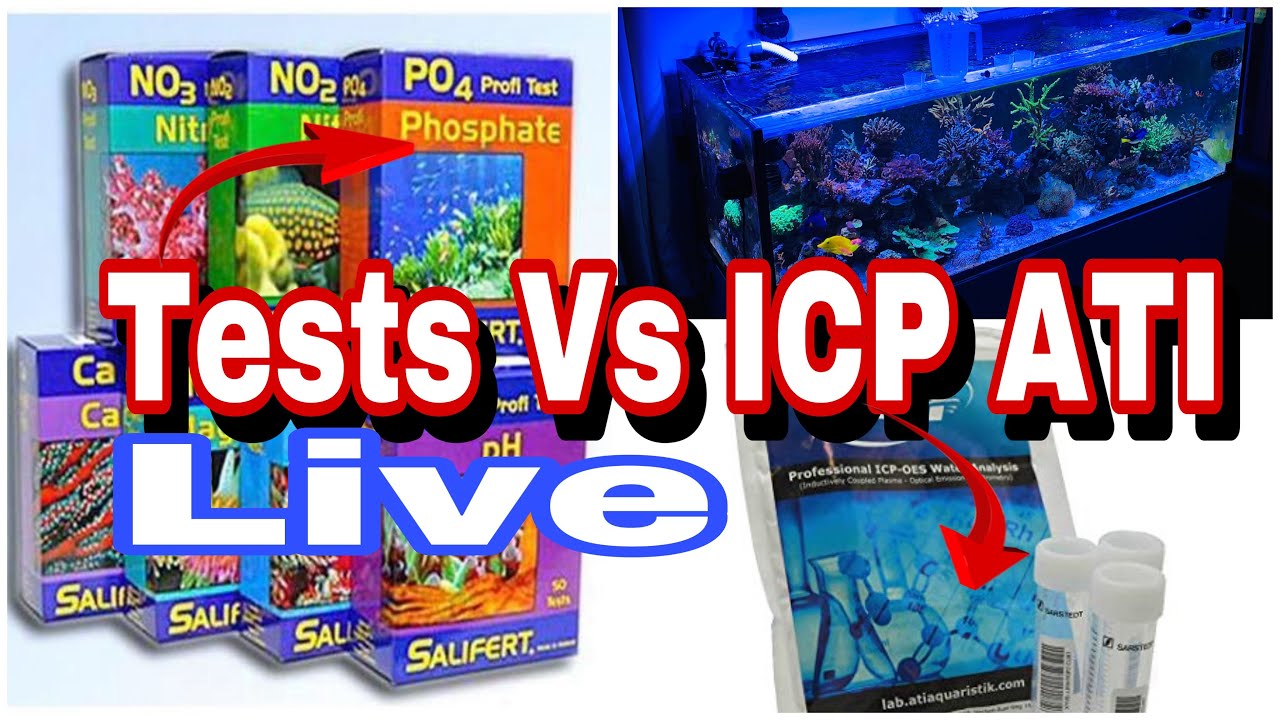 Tests live VS test labo ICP ATI je réagis