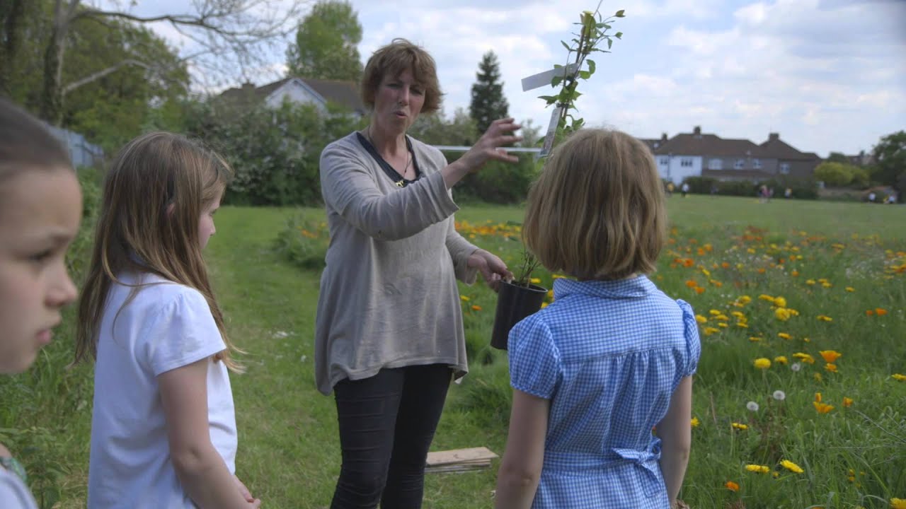 Wildlife author Gill Lewis explains how to build a bug hotel, part 1