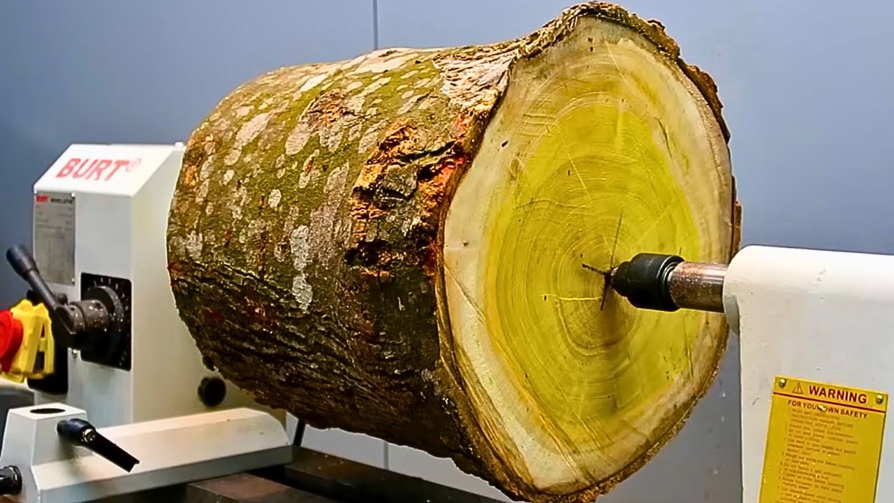 Wood turning = A type of wood as precious as gold.