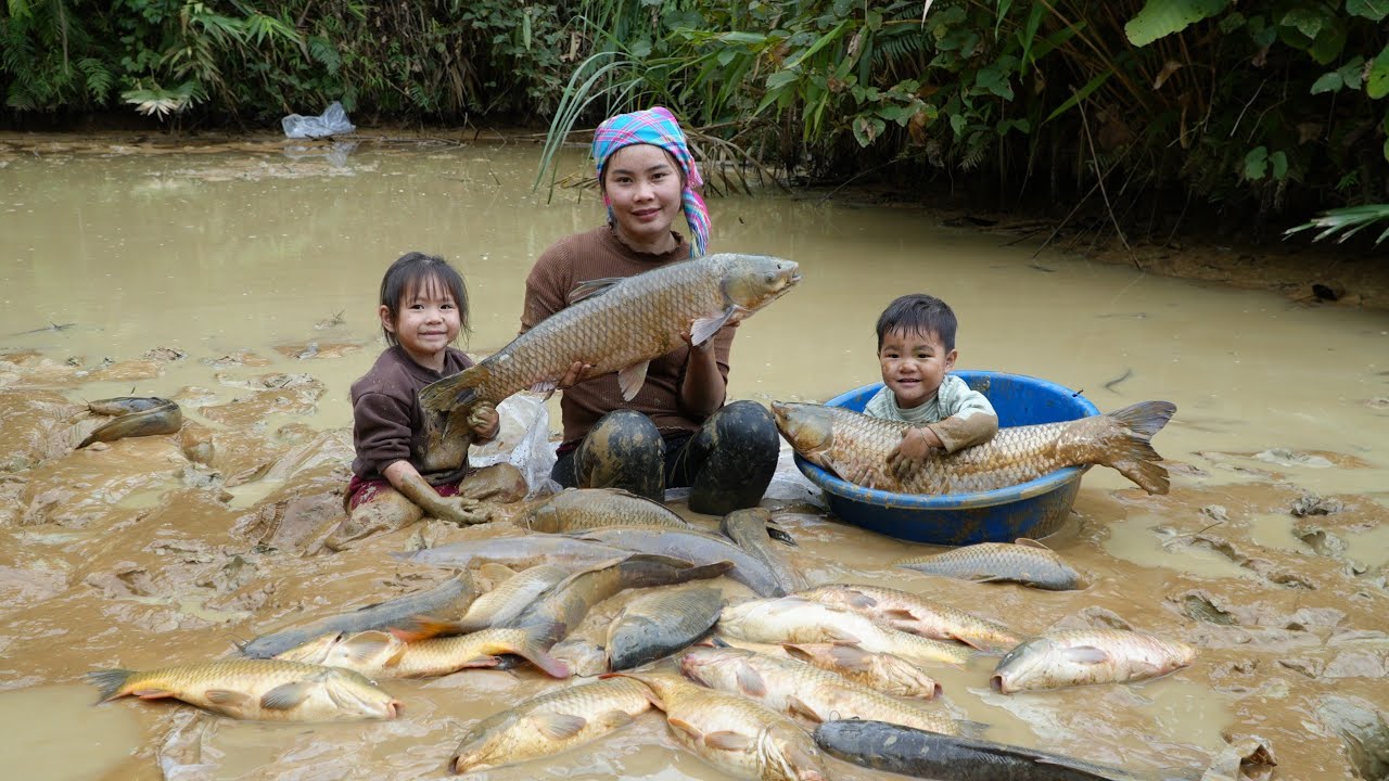 How to catch and harvest giant fish and bring them to market - Cooking with your children