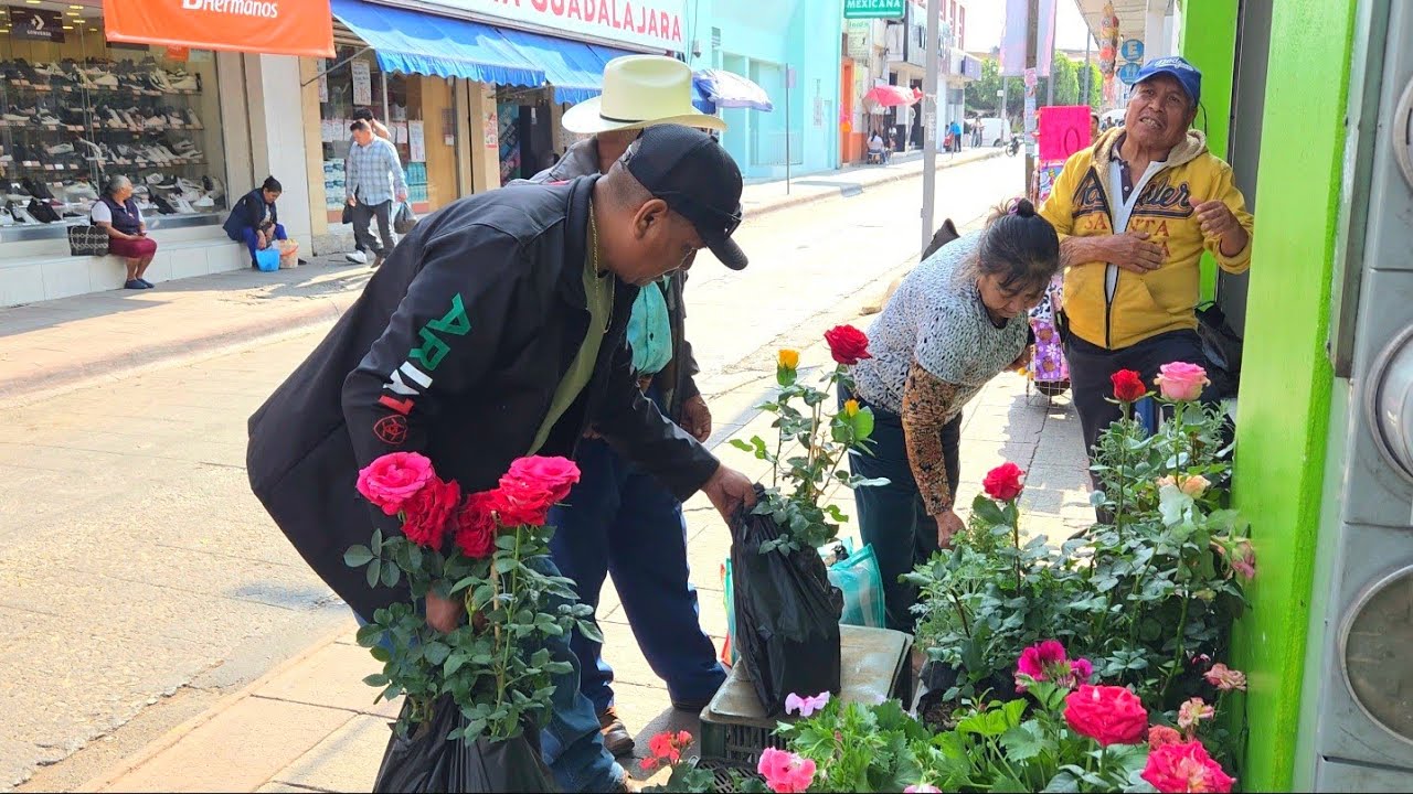COMPRANDO FLORES PARA PLANTAR EN LA CASA LA PONDRE IGUAL QUE LA DE USA