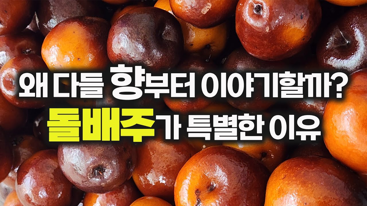 돌배주 담그는법 처음이라면 꼭 보세요 돌배주 효능과 부작용