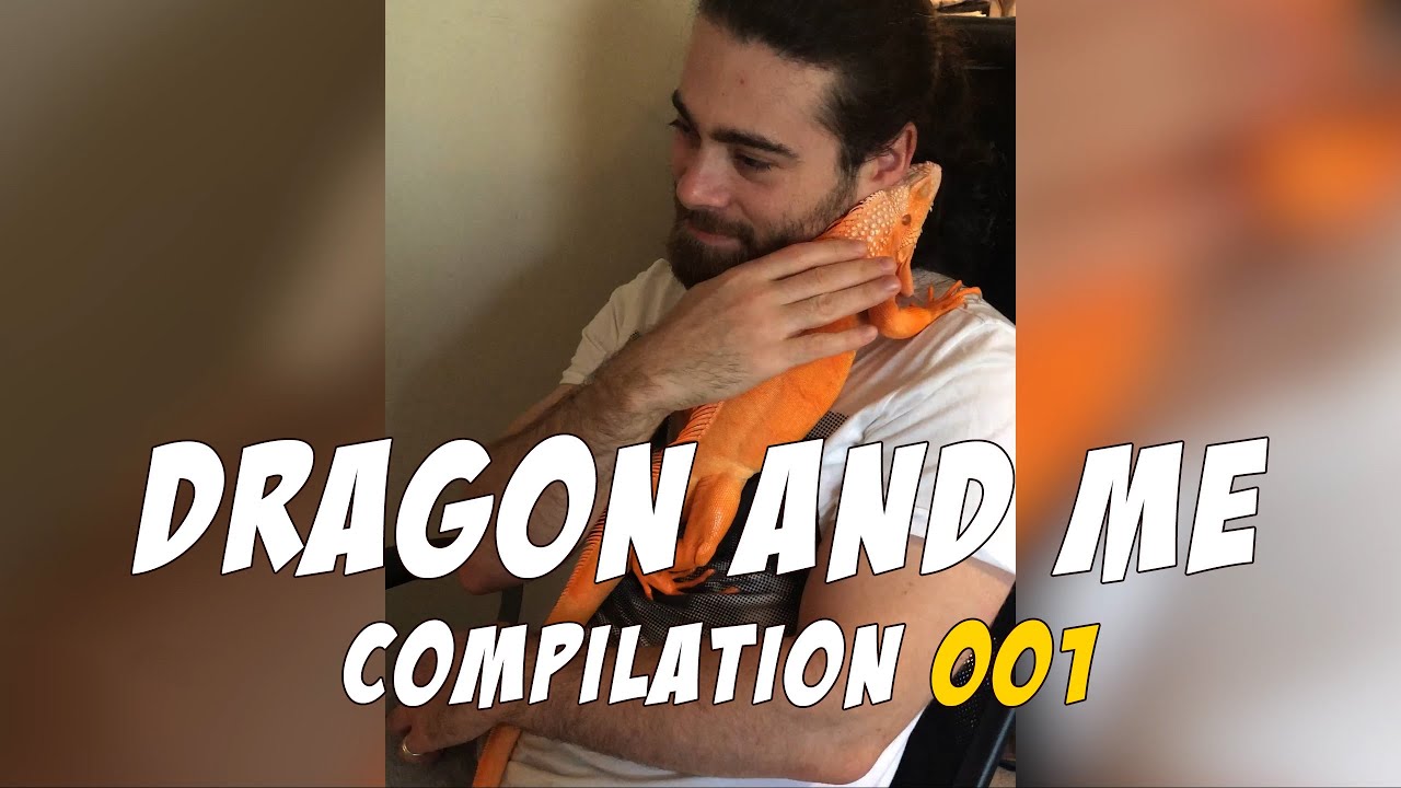 Dragon and Me - Compilation 001