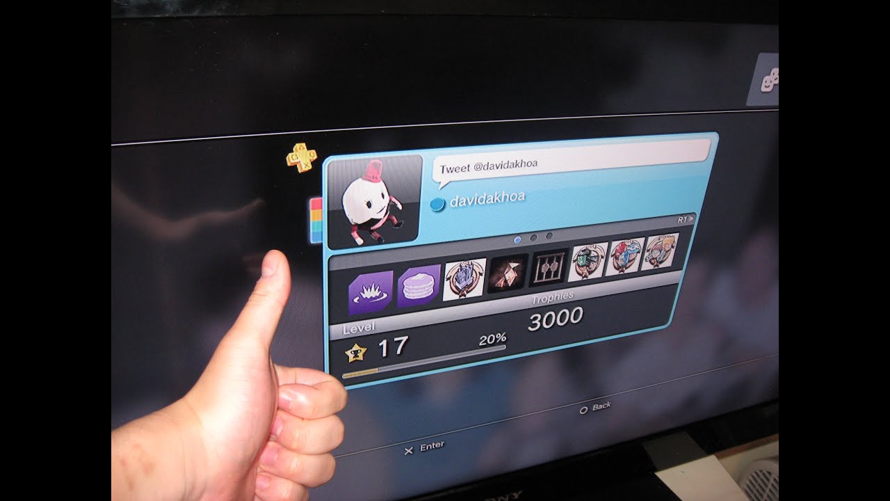 PSN Trophies / XBOX Achievements (2014)