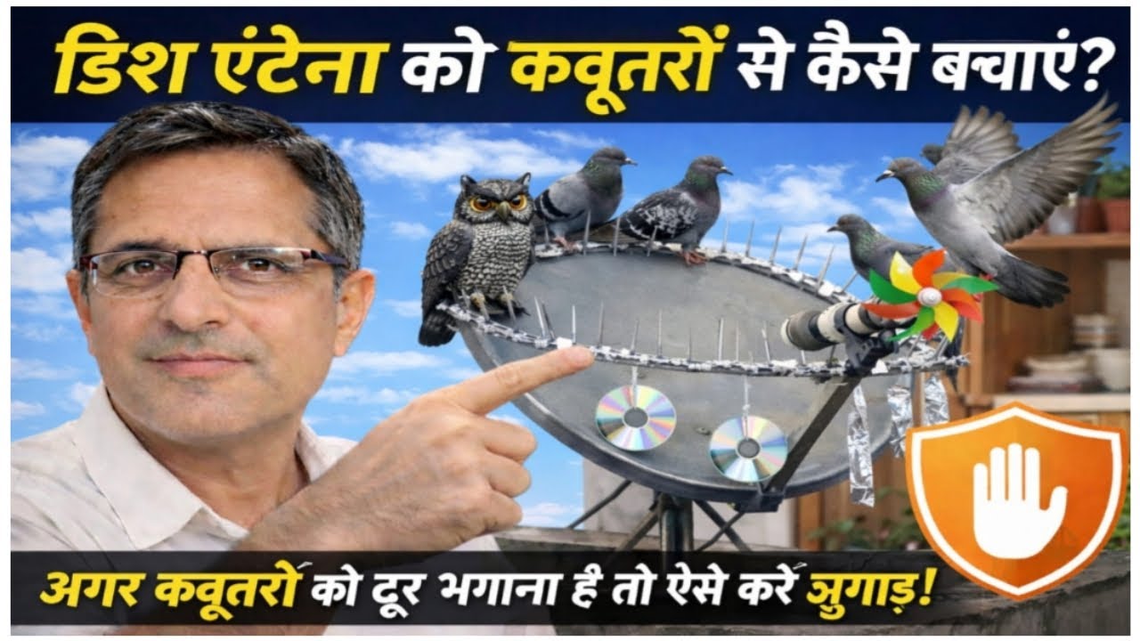 डीटीएच डिश 📡 एंटेना को कबूतरो 🐦 से कैसे बचाए । How To Protect dth antenna to Pigeon ? 🦜