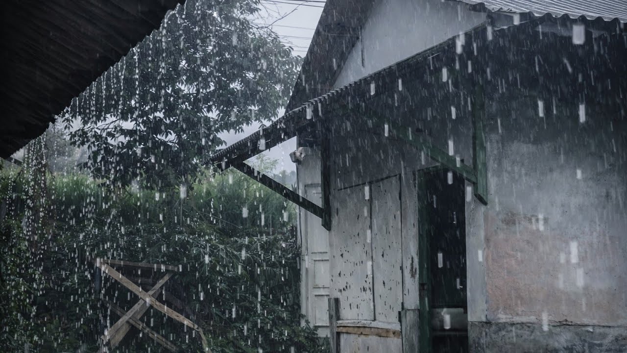 SOUND OF HEAVY RAIN for relaxation & meditation to help you fall asleep quickly😴 