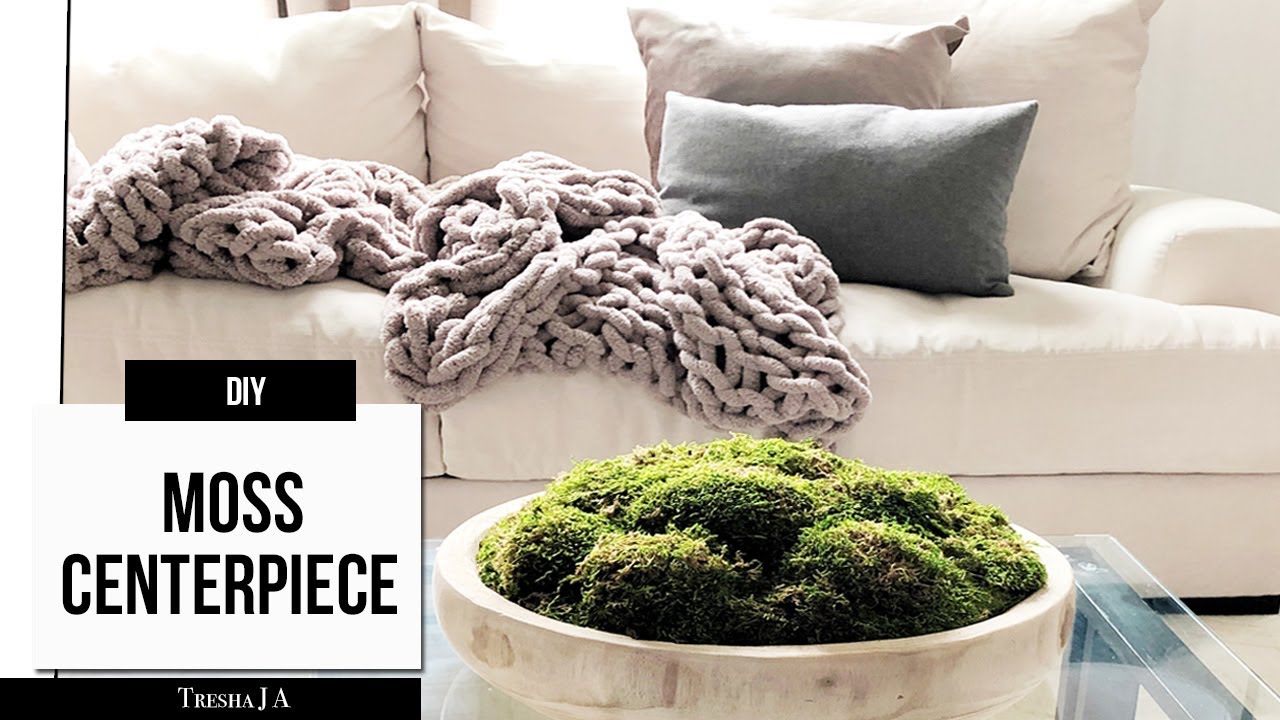 DIY Moss Centerpiece - Coffee Table Decor
