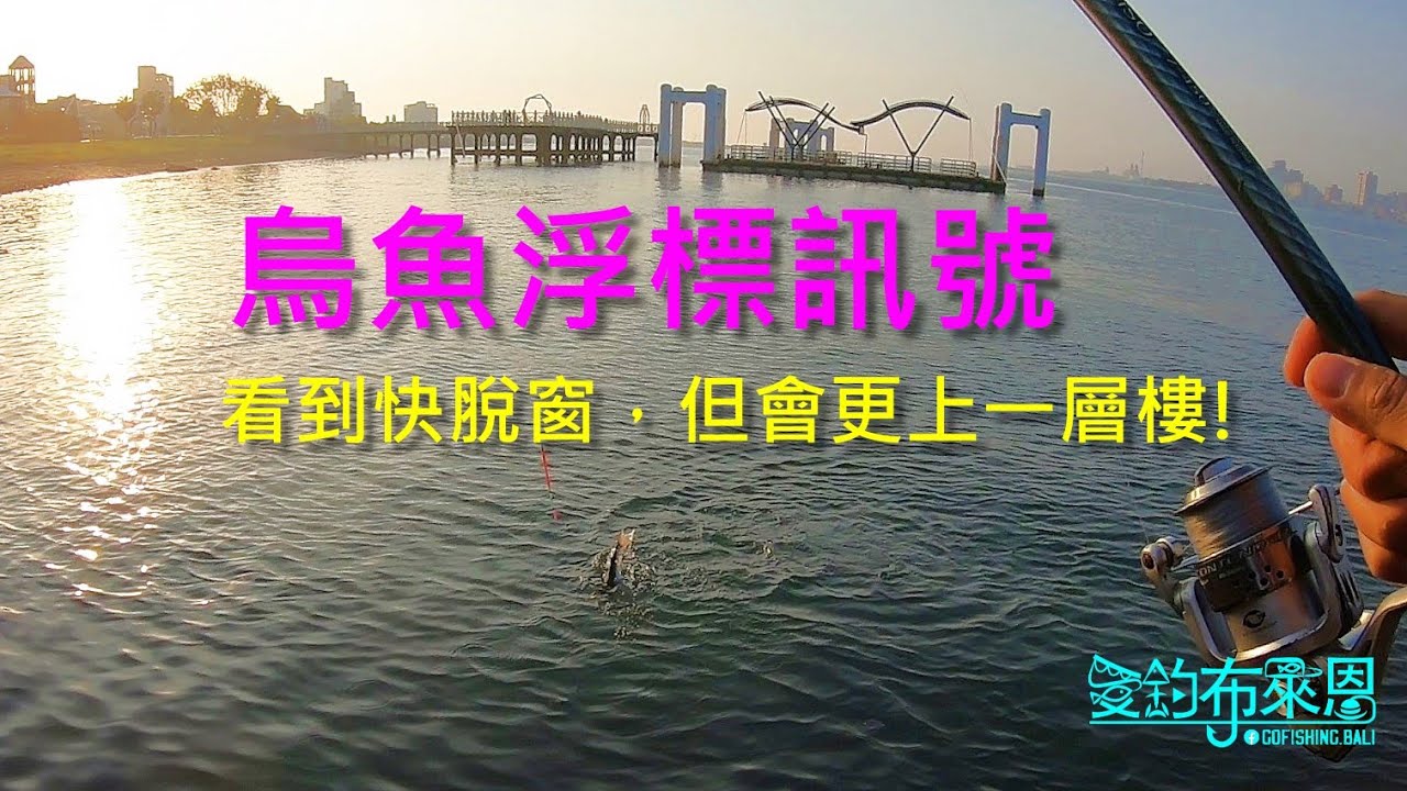 學釣魚 #19-1  釣烏魚: 雖然浮標訊號看的快脫窗，但學會釣烏魚，就代表釣技有進步了，來挑戰一下吧!