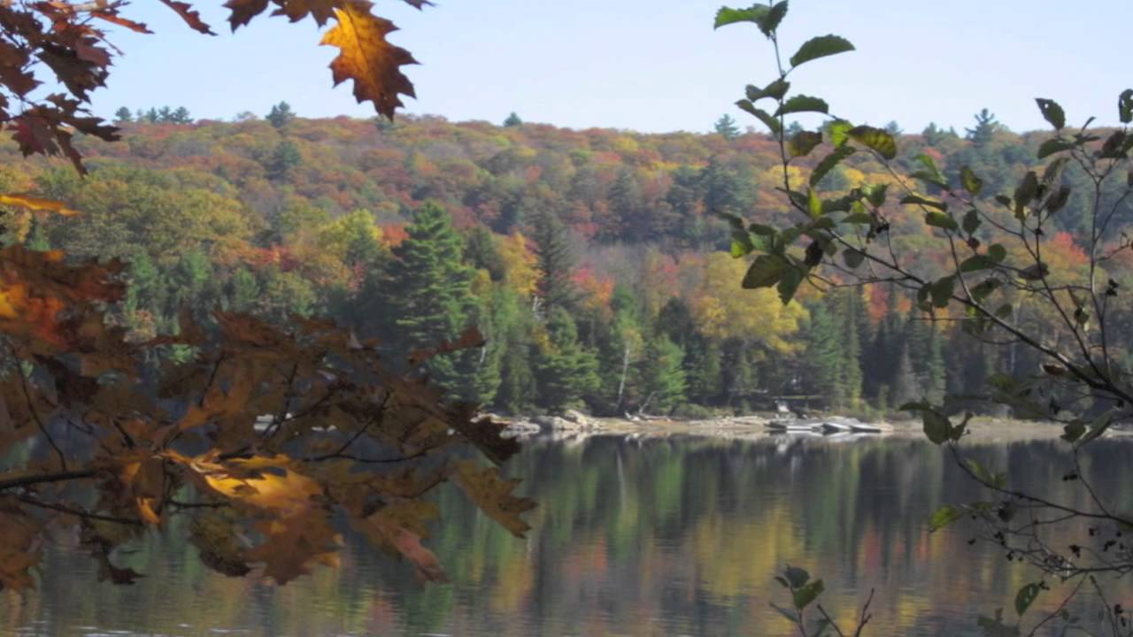 NORDIC INN ~ Dorset, Ontario 705.766.2343