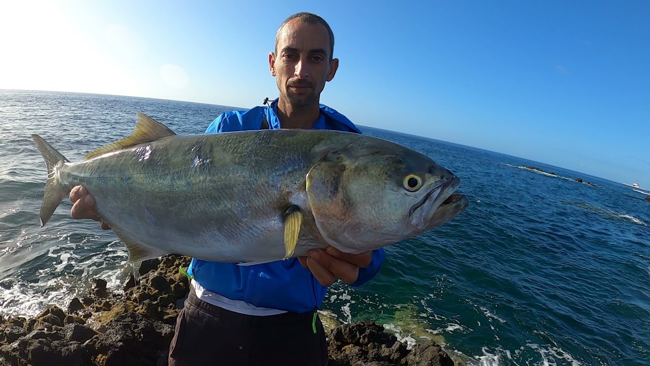 pesca en Tenerife. Pejerreys, bocinegro, sierra, bicudas