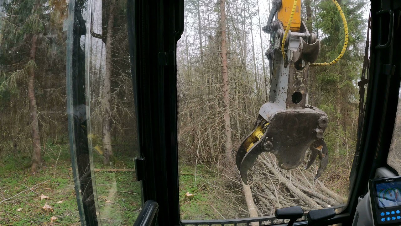 Adamar OÜ võsalõikus
