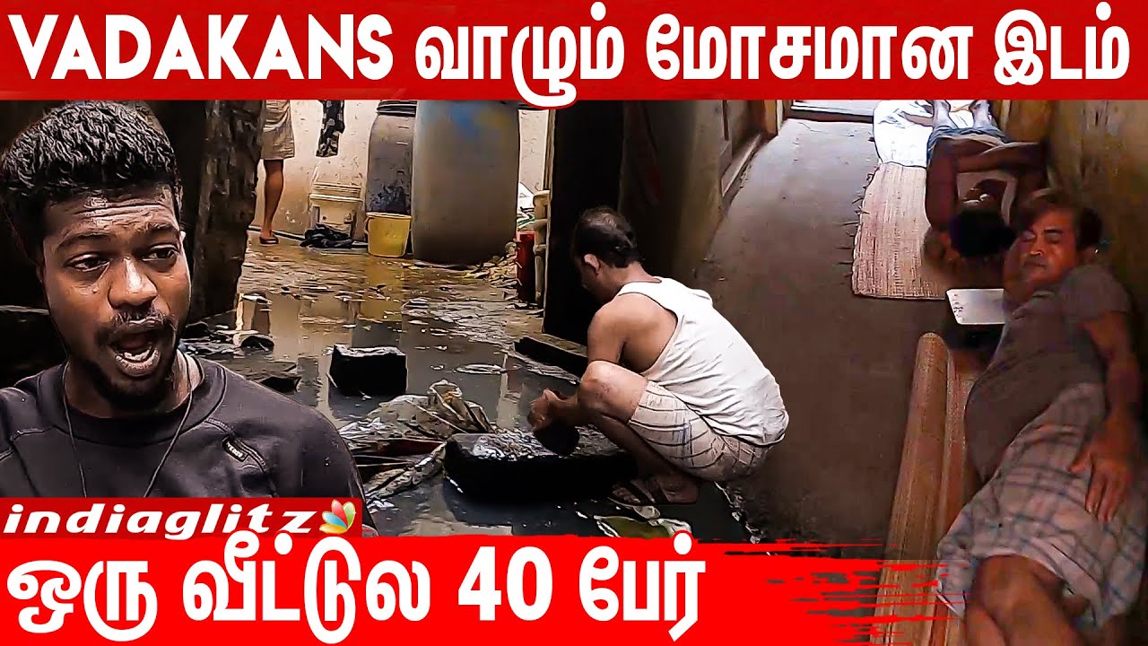 😨இங்க வந்தாலே மிரட்டுறாங்க... North Indians in Tamil Nadu | Vadakkans Paridhabangal Reaction