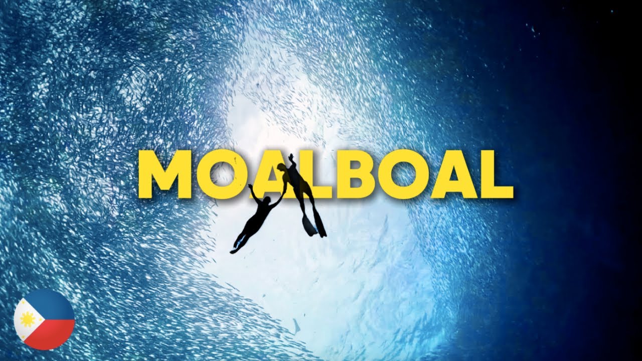 Swimming with THOUSANDS of Sardines in MOALBOAL! 🇵🇭