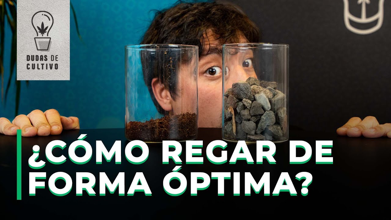 &iexcl;APRENDE A OPTIMIZAR TU RIEGO!