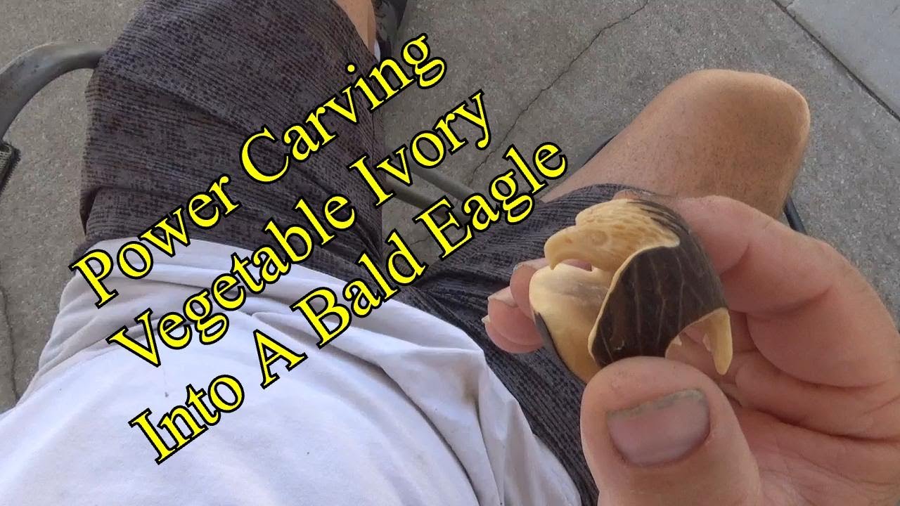 Tagua Nut Eagle