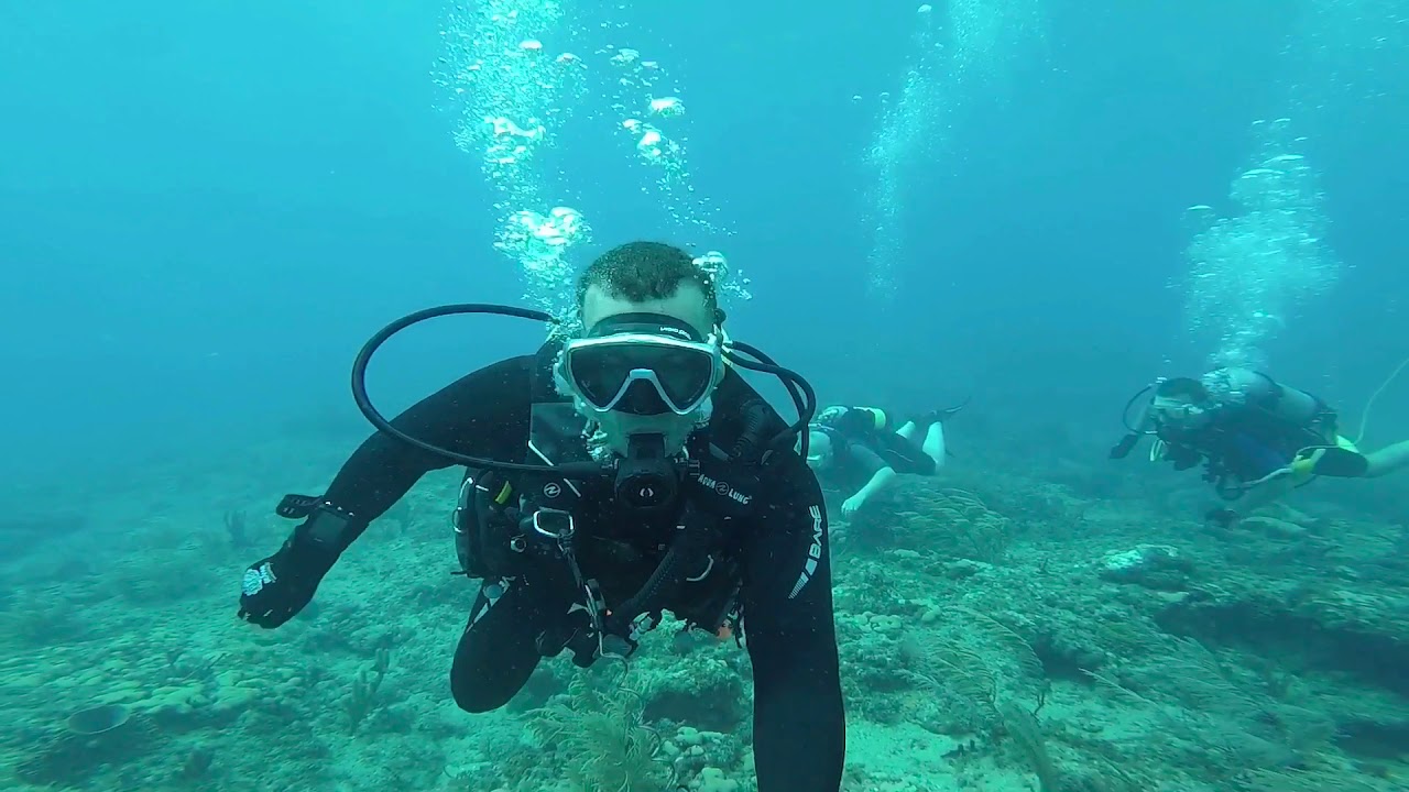 Diving South Florida&rsquo;s Coast !